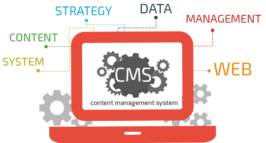 content-management-system-for-web-development-by-msa-technosoftc